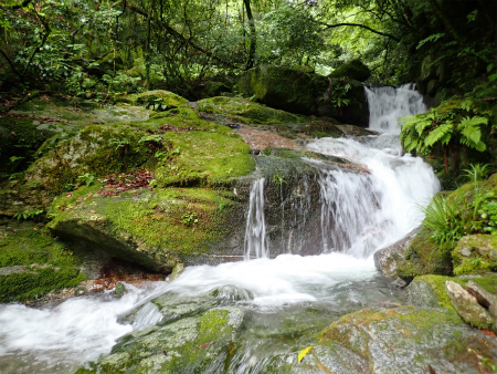 d0182075_06395570.jpg