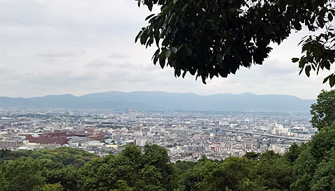 f0083977_07472445.jpg