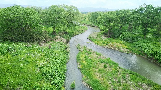 e0020682_2124073.jpg
