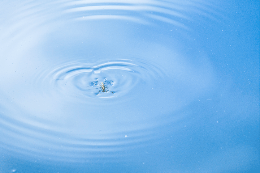 e0243382_09483199.gif