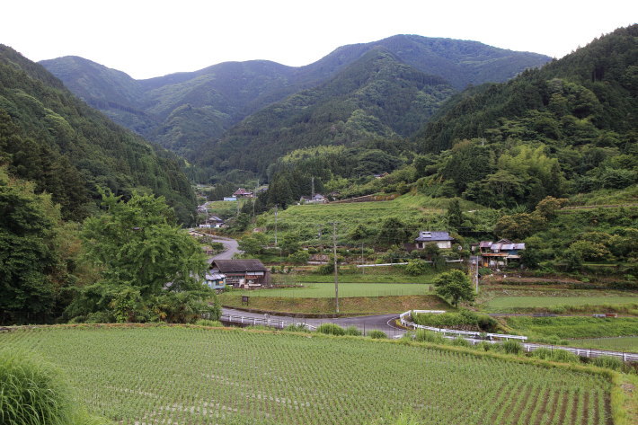 c0358784_22195517.jpg