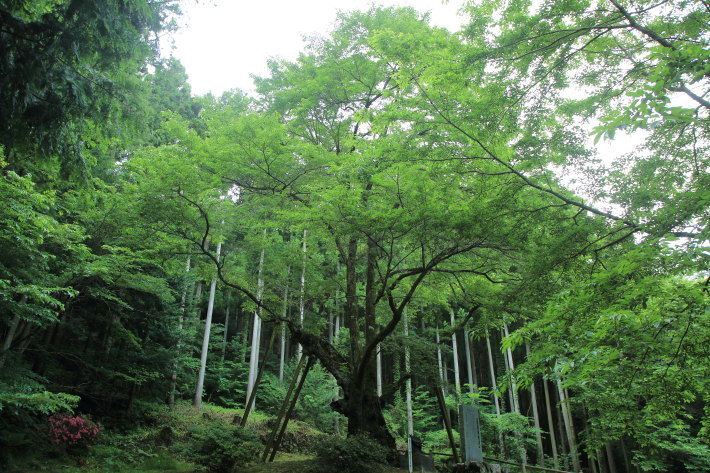 c0358784_22205268.jpg