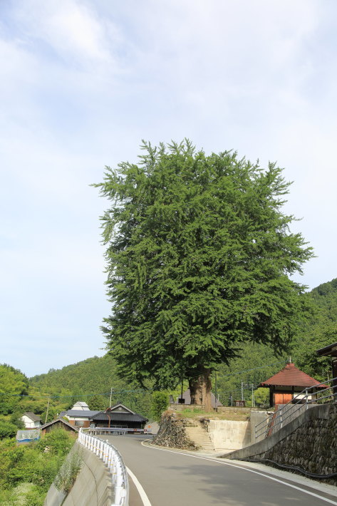 c0358784_22222961.jpg