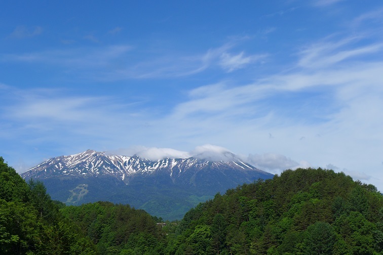 a0130586_15275432.jpg