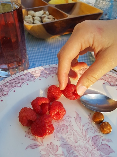 虫刺されの季節 子どもと一緒に フランス生活
