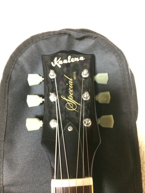 安いレスポール : garysasakiのブログ