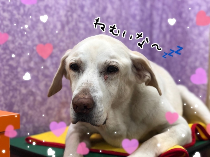 d0269898_17440941.jpeg