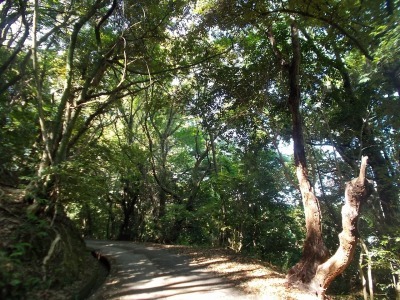 f0308898_08163990.jpg