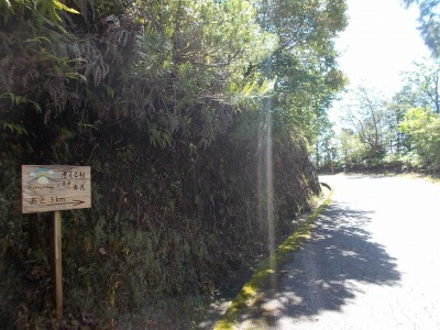 f0308898_08195687.jpg