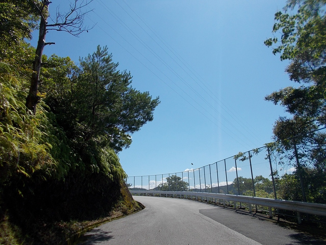 f0308898_08205576.jpg