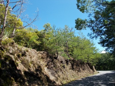 f0308898_08214941.jpg