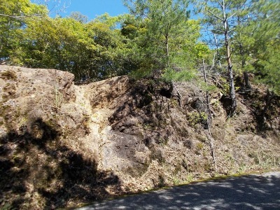 f0308898_08214983.jpg