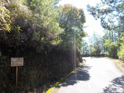 f0308898_08214990.jpg