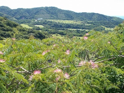f0308898_08221788.jpg