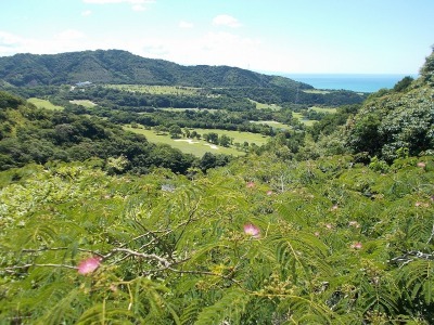 f0308898_08221824.jpg