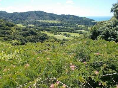 f0308898_08221889.jpg