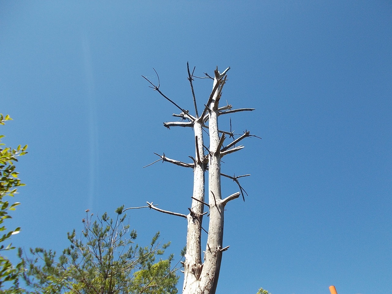 f0308898_08234055.jpg