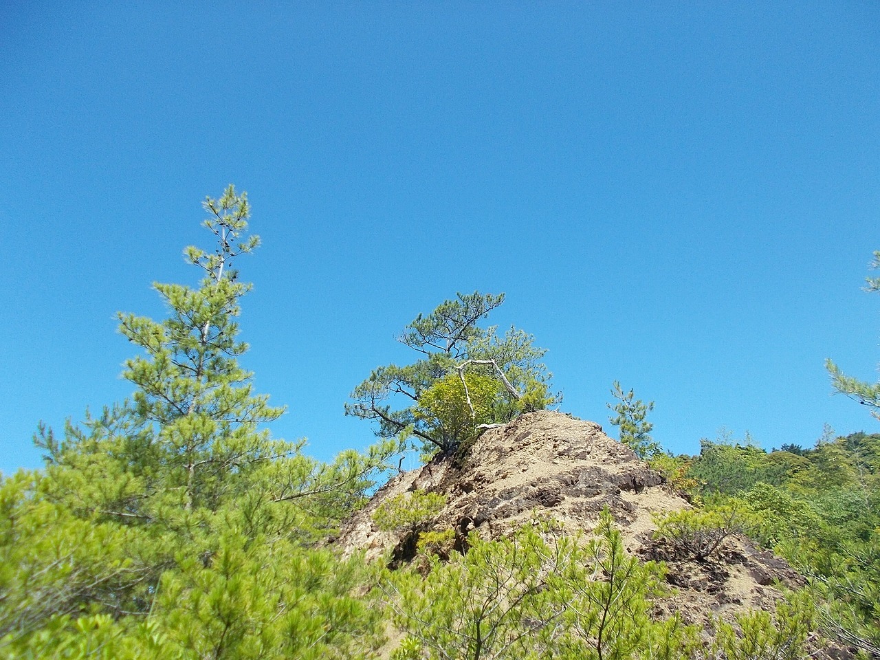 f0308898_08242221.jpg