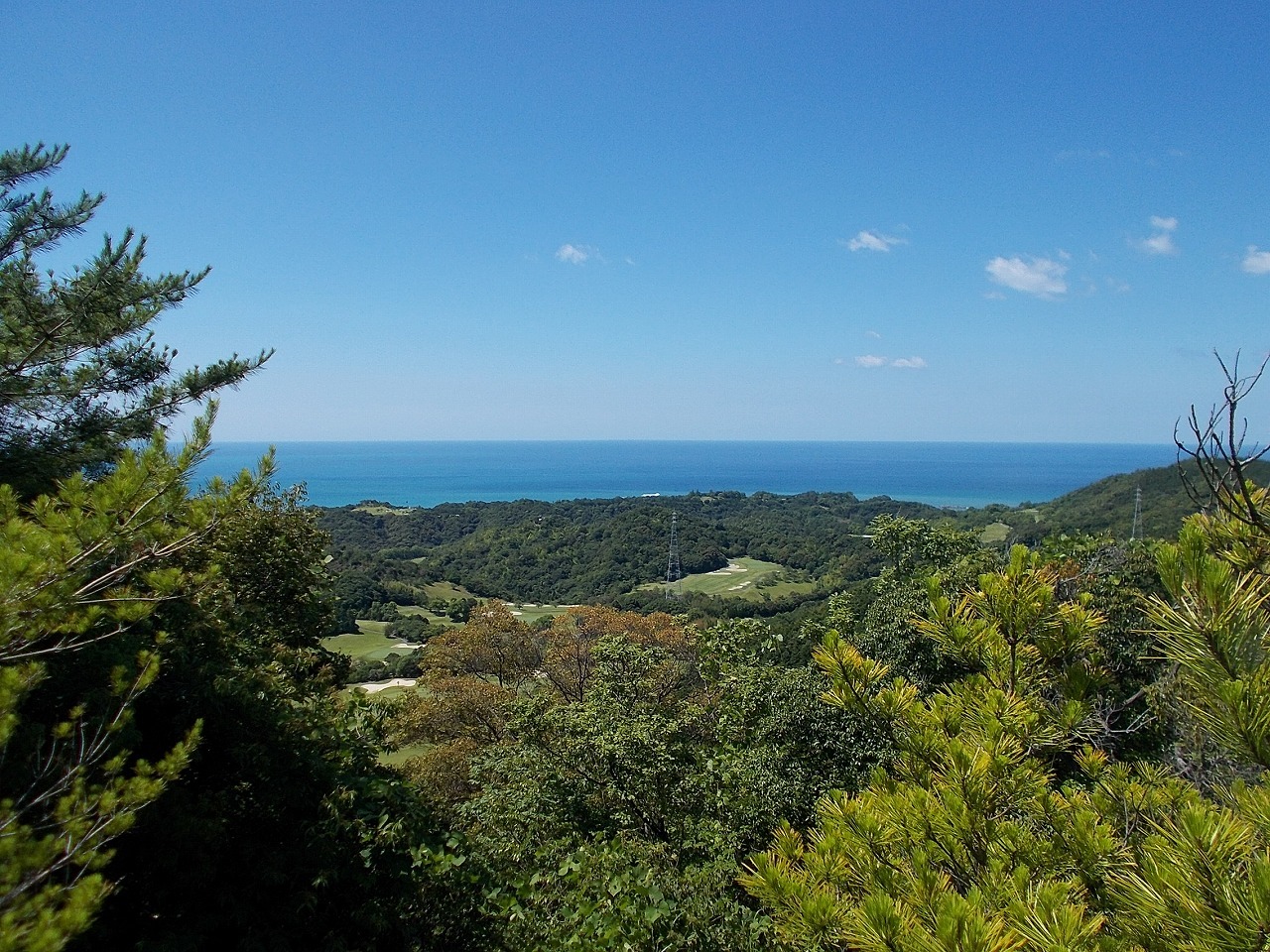 f0308898_08242297.jpg