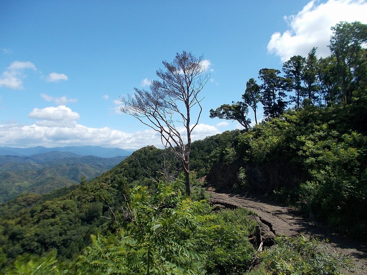 f0308898_08242315.jpg