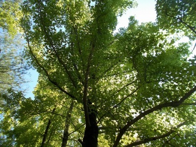 f0308898_08242328.jpg