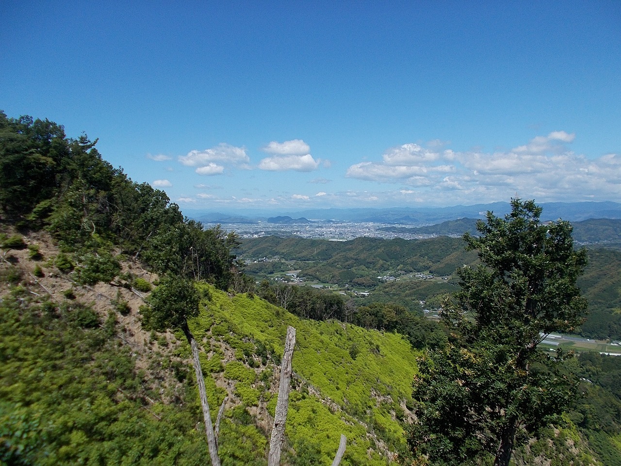 f0308898_08245762.jpg