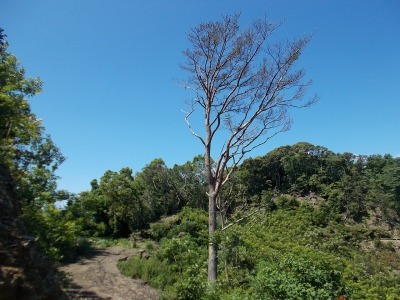 f0308898_08245784.jpg