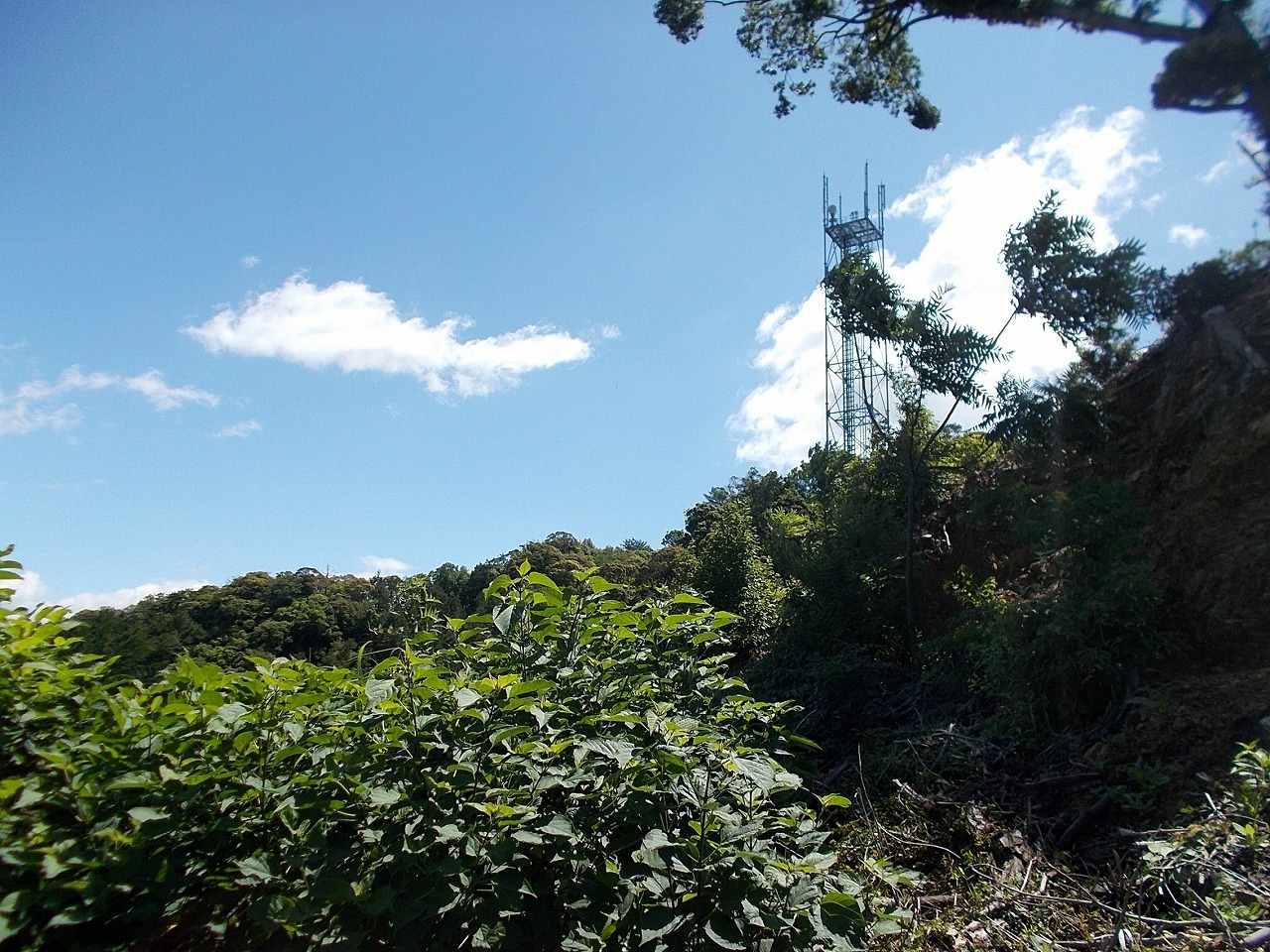 f0308898_08245786.jpg