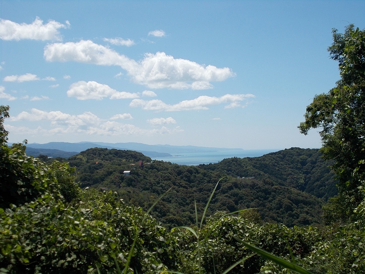 f0308898_08245832.jpg