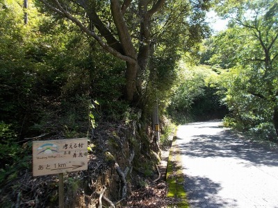 f0308898_08245851.jpg