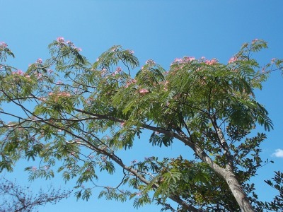 f0308898_08254063.jpg