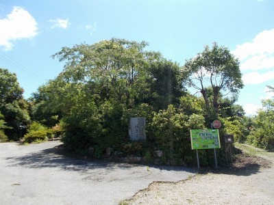 f0308898_08254087.jpg