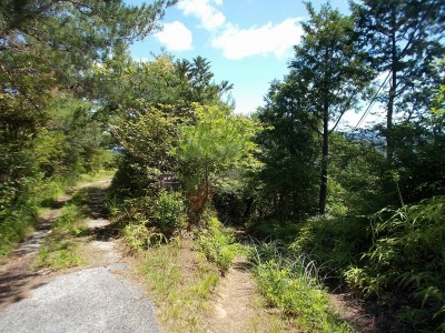 f0308898_08300384.jpg