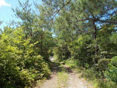 f0308898_08300484.jpg
