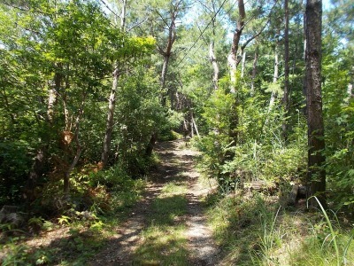 f0308898_08305408.jpg