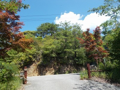 f0308898_08305634.jpg