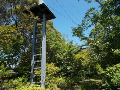 f0308898_08305680.jpg