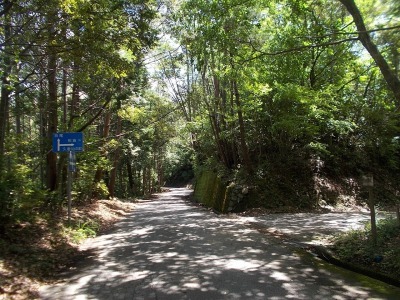 f0308898_09131868.jpg