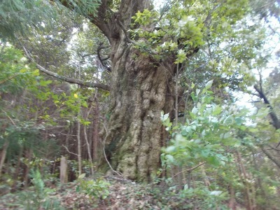 f0308898_09140132.jpg
