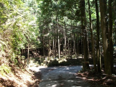 f0308898_09140291.jpg