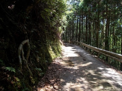 f0308898_09144203.jpg