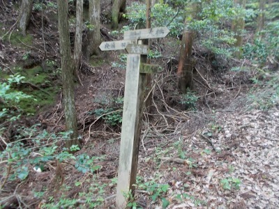 f0308898_09151289.jpg