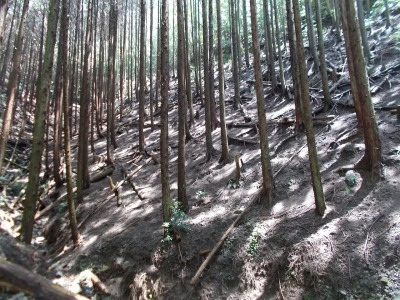 f0308898_09151358.jpg