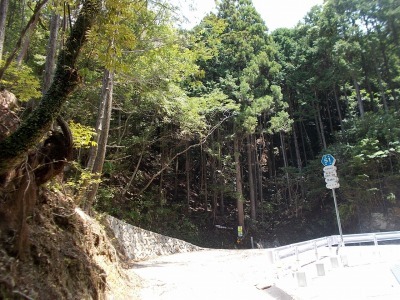 f0308898_09151395.jpg