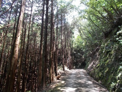 f0308898_09154984.jpg