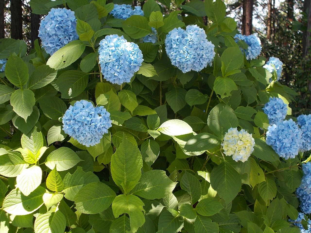 f0308898_09173857.jpg