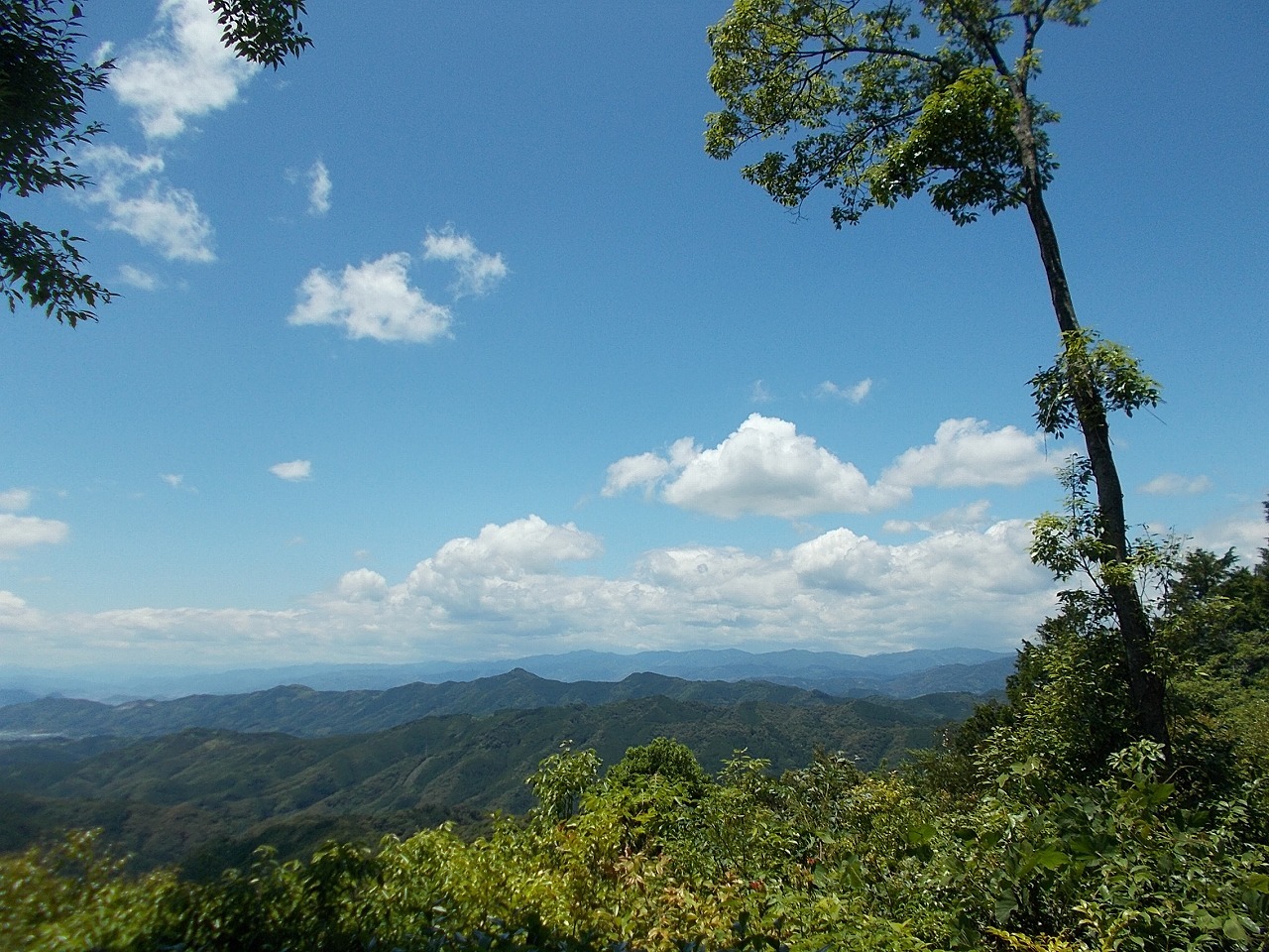 f0308898_09182195.jpg