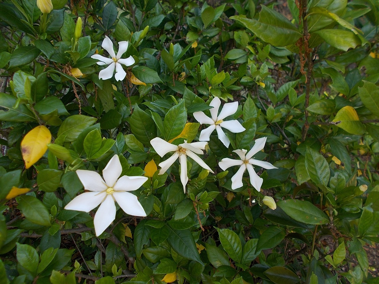 f0308898_09182253.jpg