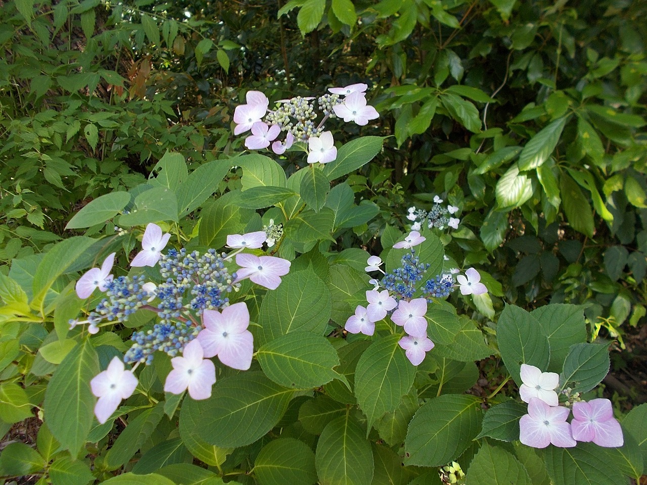 f0308898_09205083.jpg