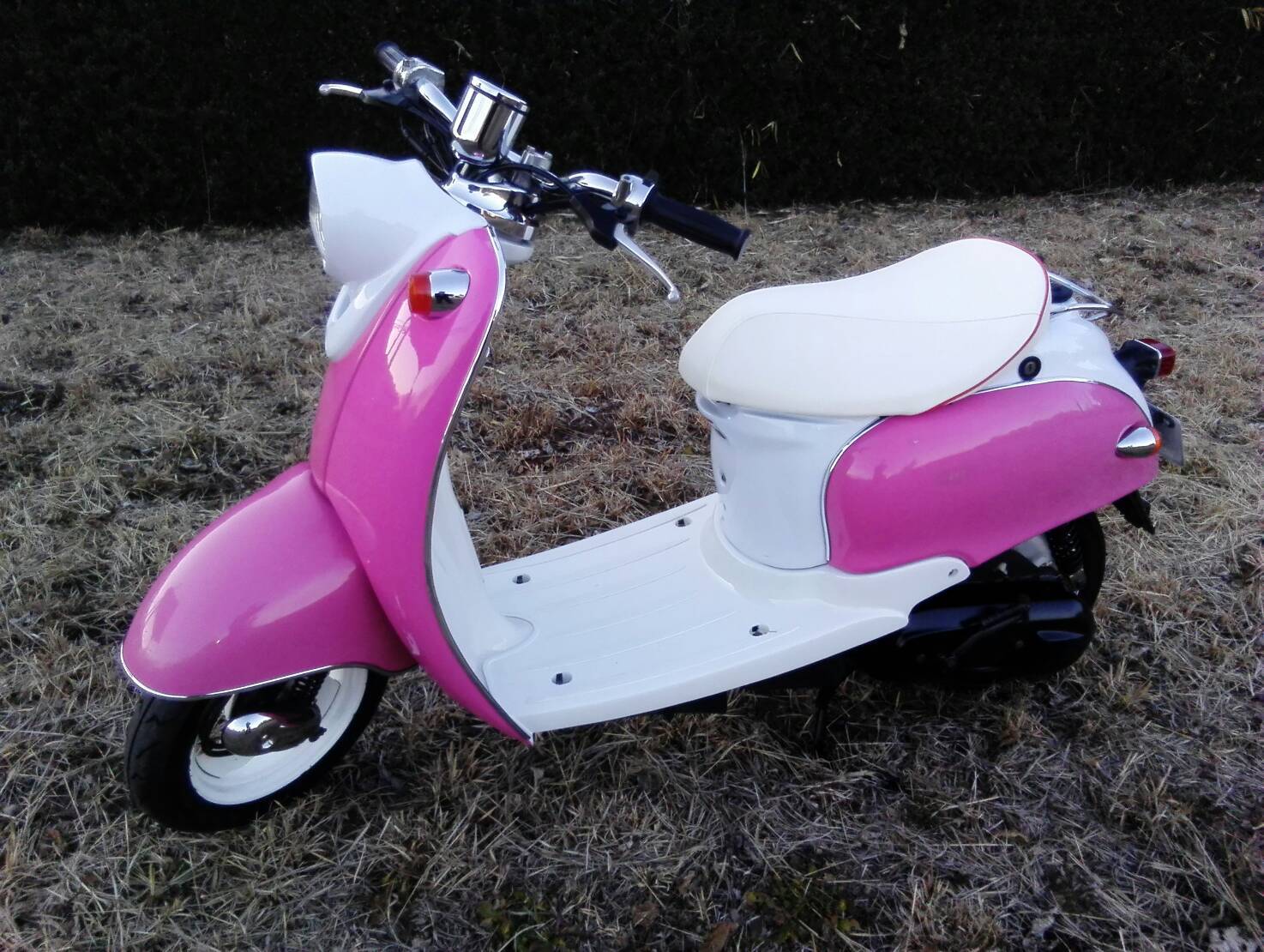 かわいい原付 可愛いバイク カワイイ５０ｃｃ かわええスクーター 売ってます 中古原付 販売 修理 の ヤマショ